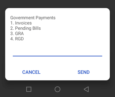 Government Payment options on Ghana.GOV via 222 shortcode