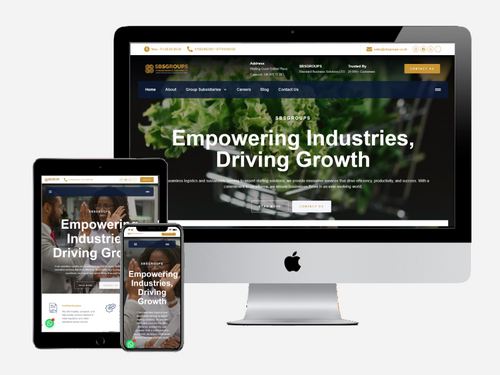Website Design project for Standard Business Solutions Limited (SBSGROUPS)